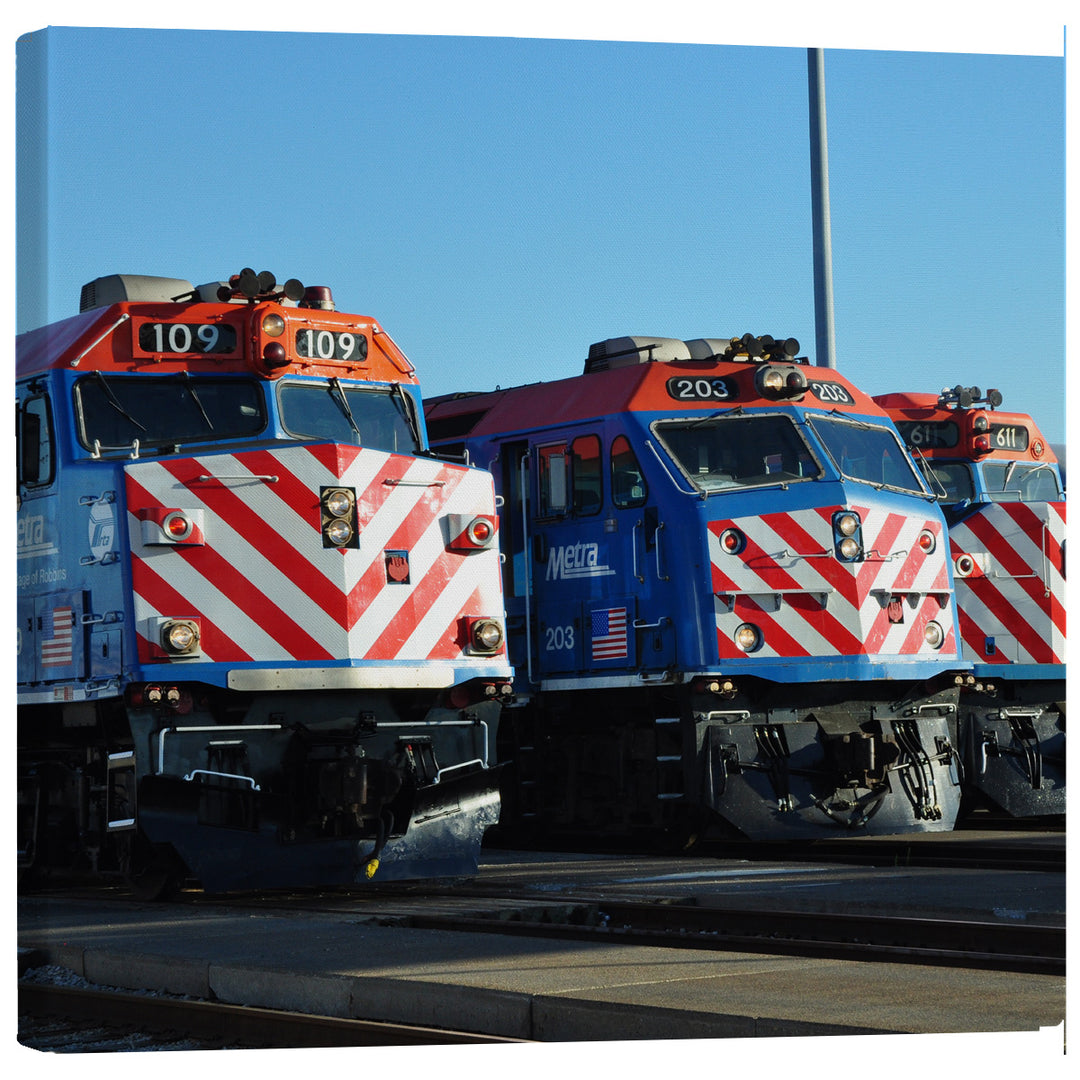 Metra Trains 109 & 203 Canvas Print